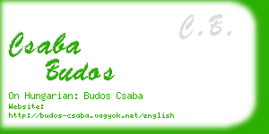 csaba budos business card